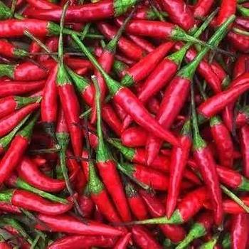 FRESH THAI RED CHILLI PEPPERS