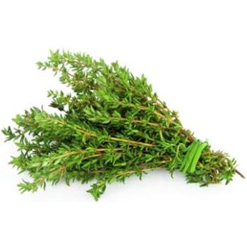 FRESH THYME