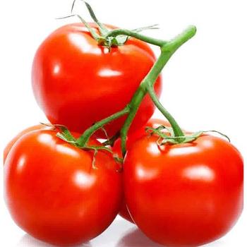 FRESH TURKISH VINE TOMATOES