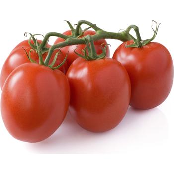 FRESH VINE PLUM TOMATOES