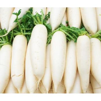 FRESH WHITE RADISH (BEYAZ TURP)