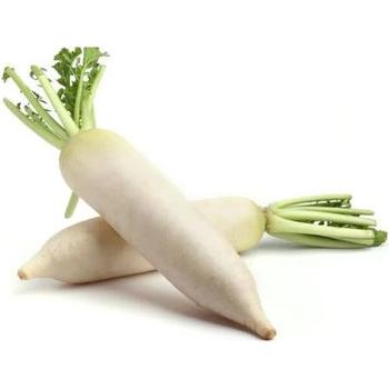 FRESH WHITE RADISH MULI (BEYAZ RADISH)