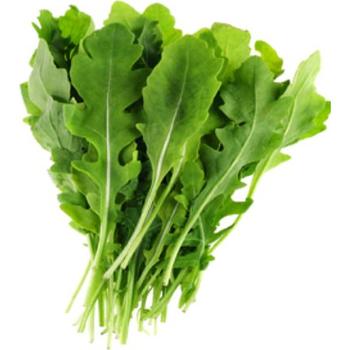 FRESH WILD ROCKET P.P.