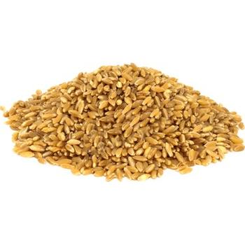 HEDIKLIK WHEAT