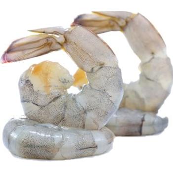 IQF RAW PEELED PRAWNS 16/20