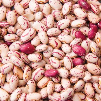 MENAR BARLOTTI BEANS (BARBUNYA)