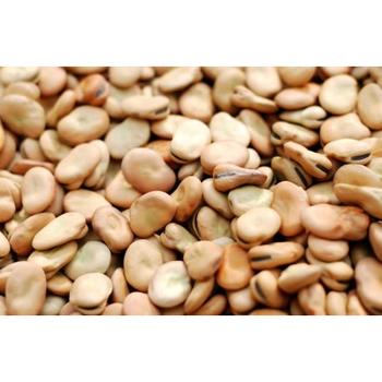 MENAR BROAD BEANS