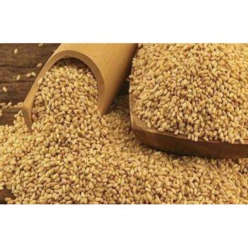 MENAR PEARLY BARLEY (DOGME BUGDAY)