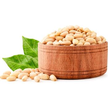 PINE NUT